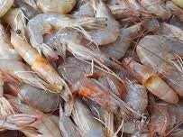Prawn Small ଚିଙ୍ଗୁଡ଼ି (1kg)