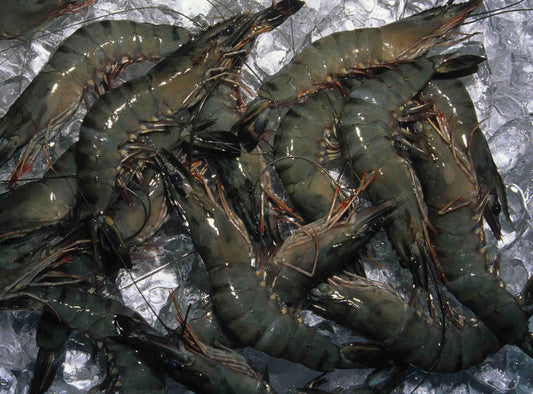 Prawn X-Large ଚିଙ୍ଗୁଡ଼ି (1kg)