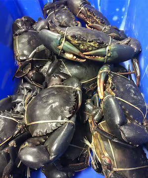 Crab Medium କଙ୍କଡ଼ା (1kg)