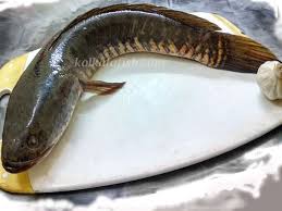 Seula Fish ଶଉଳ ମାଛ  (1kg)