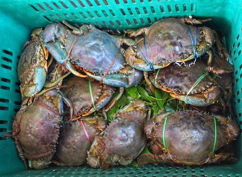 Crab କଙ୍କଡ଼ା (1kg)