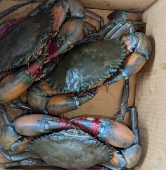 Crab Large କଙ୍କଡ଼ା (1kg)